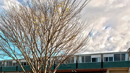 St Helens Bayside Inn - Accommodation Gold Coast 1