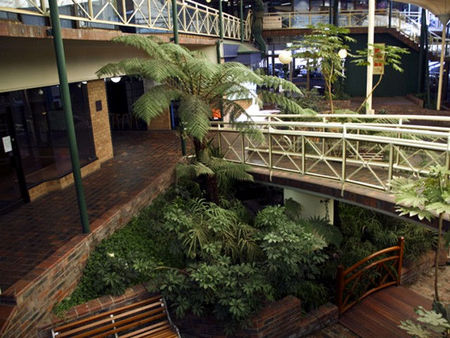 Mayfair Plaza Motel - Accommodation Gold Coast 3