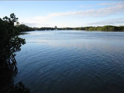 Calico Court Motel - Accommodation Gold Coast 1