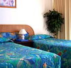 International Beach Resort - Accommodation Gold Coast