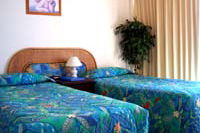 International Beach Resort - Accommodation Gold Coast 0