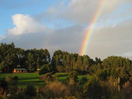 Lavender And Berry Farm - Accommodation Gold Coast 3