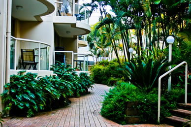 Miami Beachside Apartments - Accommodation Gold Coast 9