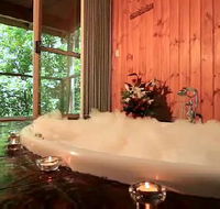 Tree Houses Of Montville - Accommodation Gold Coast