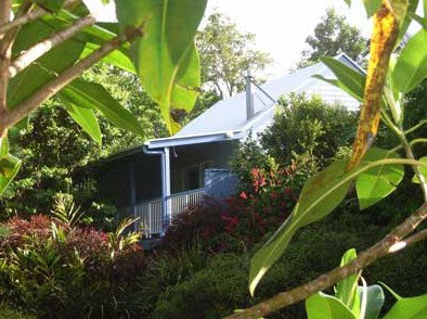 Clouds Of Montville Mountain Resort Motel - Accommodation Gold Coast 3