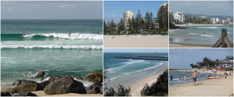 Blue Pelican Motor Inn - Accommodation Gold Coast 3