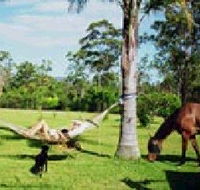 Neds Bed Horse O Tel - Accommodation Gold Coast