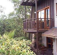 Studio Cottages Romantic Hideaway - Accommodation Gold Coast 0