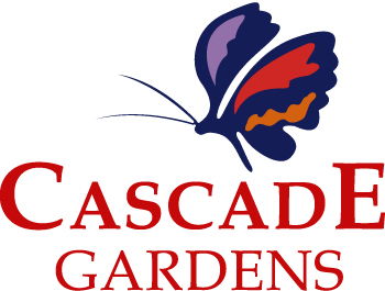 Q Resorts Cascade Gardens  - Accommodation Gold Coast 0
