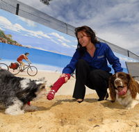 Hanrob Pet Hotels - Accommodation Gold Coast