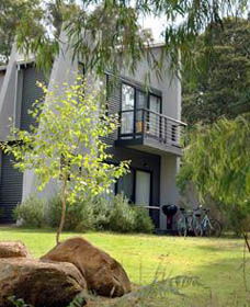 Margarets Forest - Accommodation Gold Coast 0