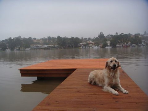 Eleven From The Left - Accommodation Gold Coast 0