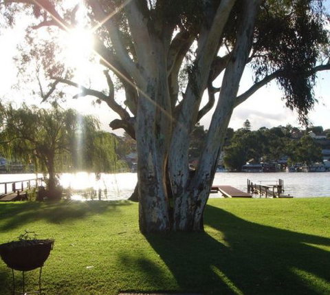 Eleven From The Left - Accommodation Gold Coast 1