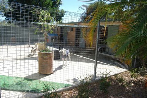 Beenleigh Pet Motel - Accommodation Gold Coast 4