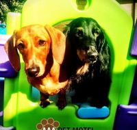 AAA Pet Motel - Accommodation Gold Coast