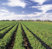 Diplomat Motel amp Restaurant - Accommodation Gold Coast