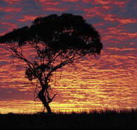 Kimba Caravan Park amp Motel - Accommodation Gold Coast