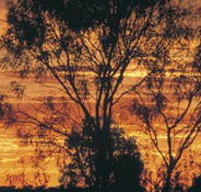 Tilmouth Well - Accommodation Gold Coast