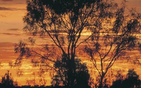 Tilmouth Well - Accommodation Gold Coast 0