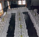 Echidna Gully Paintball and Lazerblits - Accommodation Gold Coast