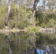 Sanctuary House Resort Motel - Healesville - Accommodation Gold Coast 5