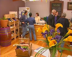 Settlers Ridge Organic Wines - Accommodation Gold Coast 0