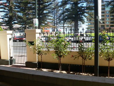 Grandview House Apartments - Accommodation Gold Coast 5