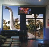 Chiliblue Backpackers - Accommodation Gold Coast
