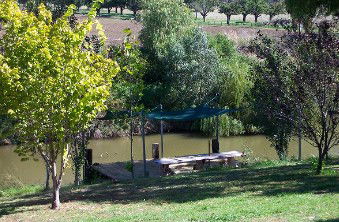 Colonial Inn Tamworth - Accommodation Gold Coast 3