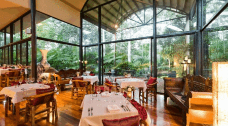 Pethers Rainforest Retreat - Accommodation Gold Coast 1