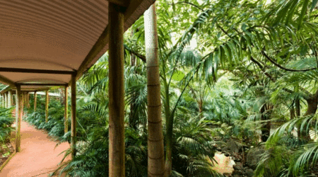 Pethers Rainforest Retreat - Accommodation Gold Coast 4