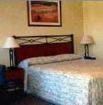 Ashfield Motor Inn - Gold Coast 4U 2