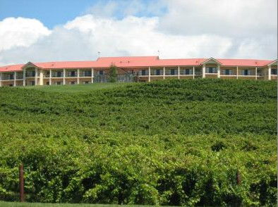 Turners Vineyard - Accommodation Gold Coast 4