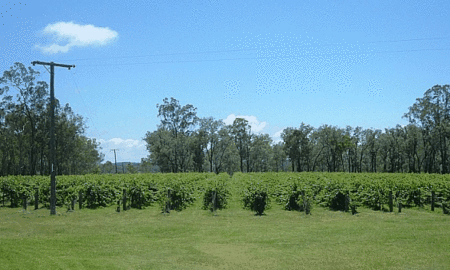 Copper Country Motor Inn - Accommodation Gold Coast 3