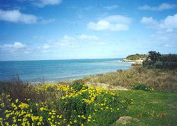 Southern Ocean Tourist Park - Accommodation Gold Coast 1