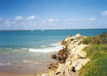 Southern Ocean Tourist Park - Accommodation Gold Coast 2