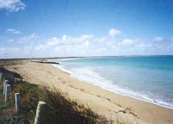 Southern Ocean Tourist Park - Accommodation Gold Coast 3