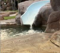 Quality Resort Siesta Resort - Gold Coast 4U 2