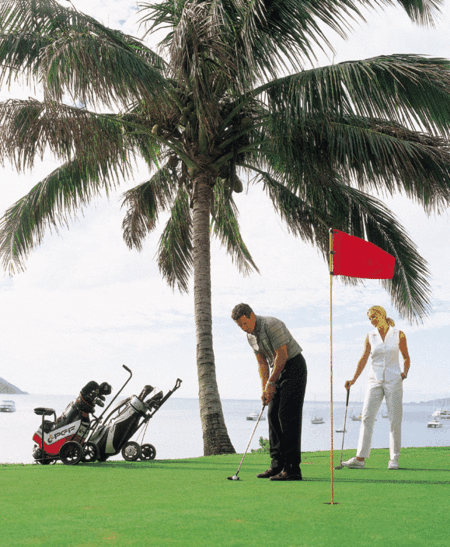 Adventure Island Whitsundays (south Molle Island) - Accommodation Gold Coast 2