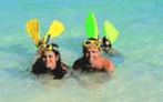 Adventure Island Whitsundays (south Molle Island) - Accommodation Gold Coast 5