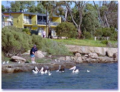 Almonta Holiday Apartments - Accommodation Gold Coast 0