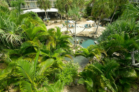 Club Crocodile, Airlie Beach - Accommodation Gold Coast 2