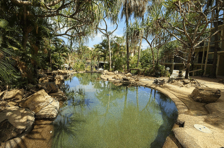 Club Crocodile, Airlie Beach - Accommodation Gold Coast 4