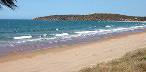 Mango Tree Motel - Accommodation Gold Coast 4