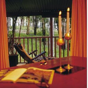 Eaglereach Wilderness Resort - Accommodation Gold Coast 0
