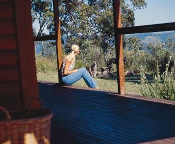 Eaglereach Wilderness Resort - Accommodation Gold Coast 2