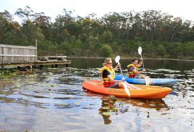 Eaglereach Wilderness Resort - Accommodation Gold Coast 3