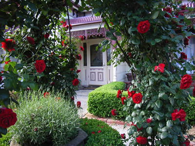 Bed And Breakfast At Stephanie's - Gold Coast 4U 0