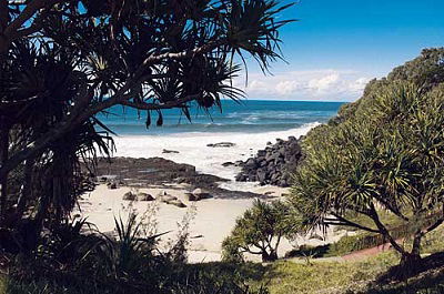 Grande Florida Beachside Resort - Accommodation Gold Coast 19