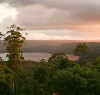 Montville Misty View Cabins - Accommodation Gold Coast